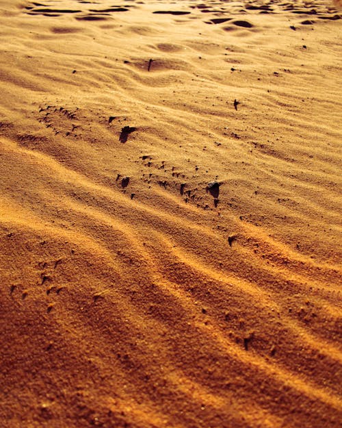 Foto profissional grátis de areia dourada, árido, deserto