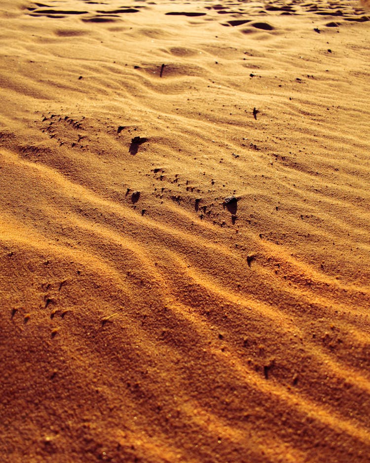 Golden Sand On Desert