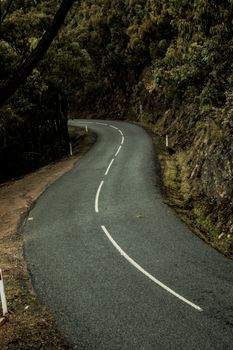 A winding road through lush forest in Mount Buller, VIC, Australia, offers a serene view.