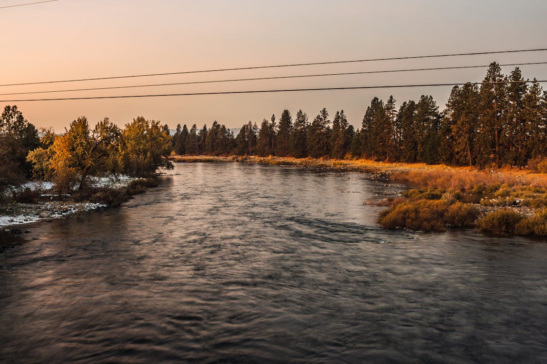 Free Early Morning Rushing River Stock Photo