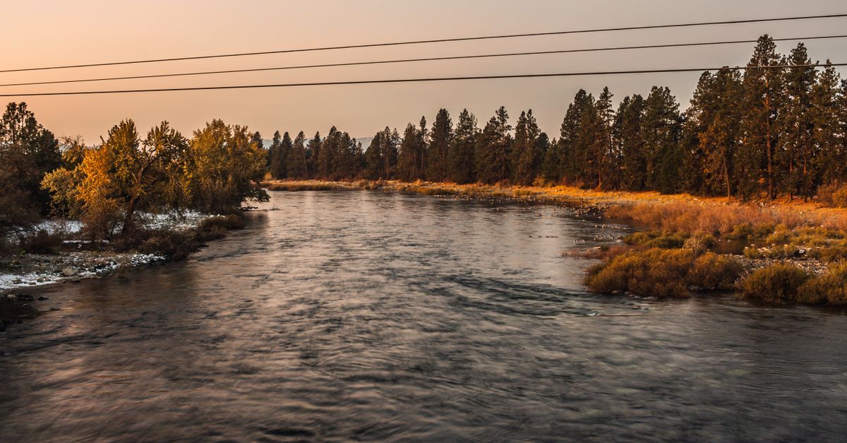 Morning Rushing Early Morning Rushing River · Free Stock Photo