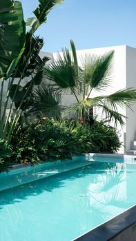 Elegant swimming pool surrounded by lush tropical foliage under a clear blue sky.