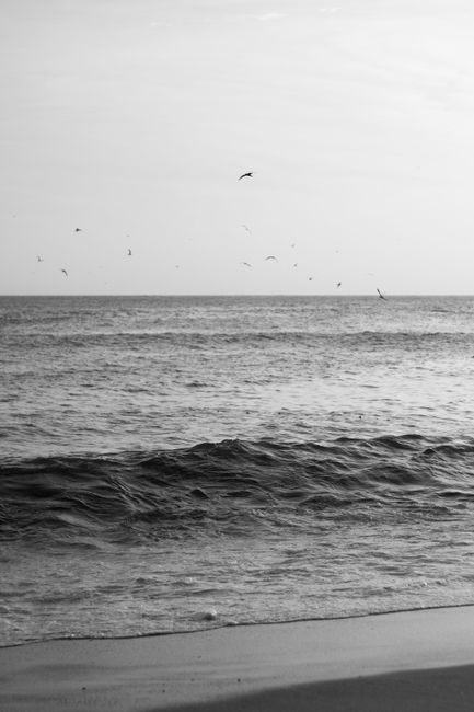 A serene black and white seascape featuring birds flying over ocean waves.
