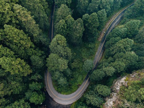 Aerial shot of a winding road through lush green forest in Amecameca, Mexico.