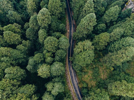 A winding road through lush green forest in Amecameca, Mexico, captured from above.