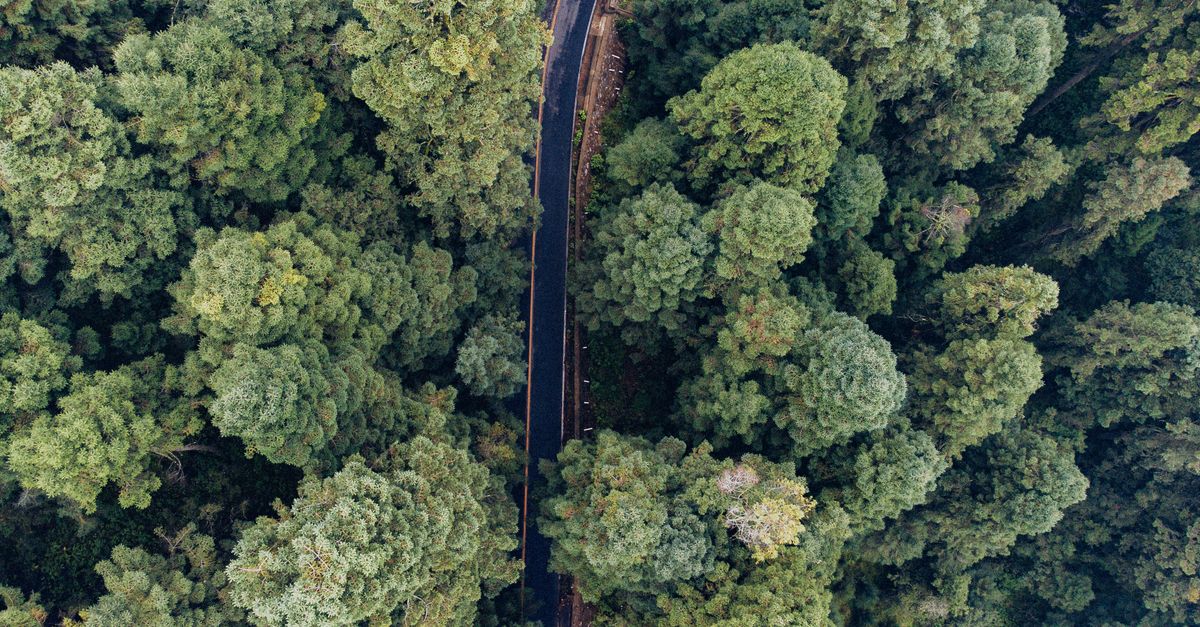 How to tell real sustainability from green marketing How to tell real sustainability from green marketing