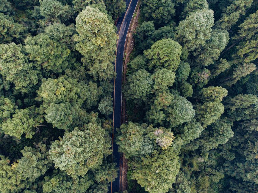 Amazonía alcanza punto crítico: 41.2 millones hectáreas deforestadas en 2026, alerta ONU