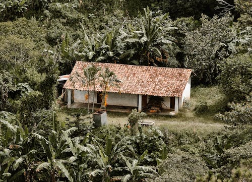 Ingyenes stockfotó bungaló, fák, ház témában