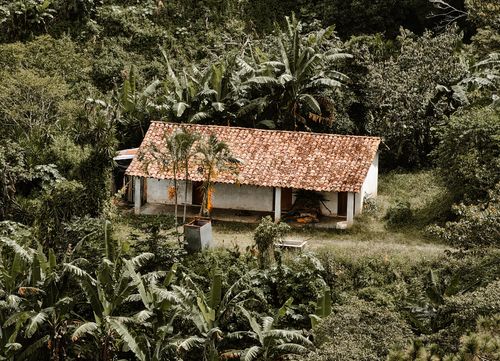 Free A secluded bungalow nestled in dense jungle greenery with a red-tiled roof. Stock Photo