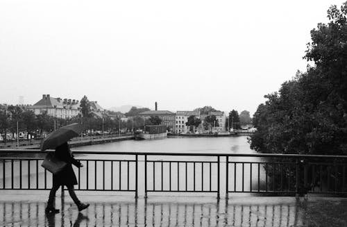 Foto profissional grátis de andando, ao ar livre, chuva