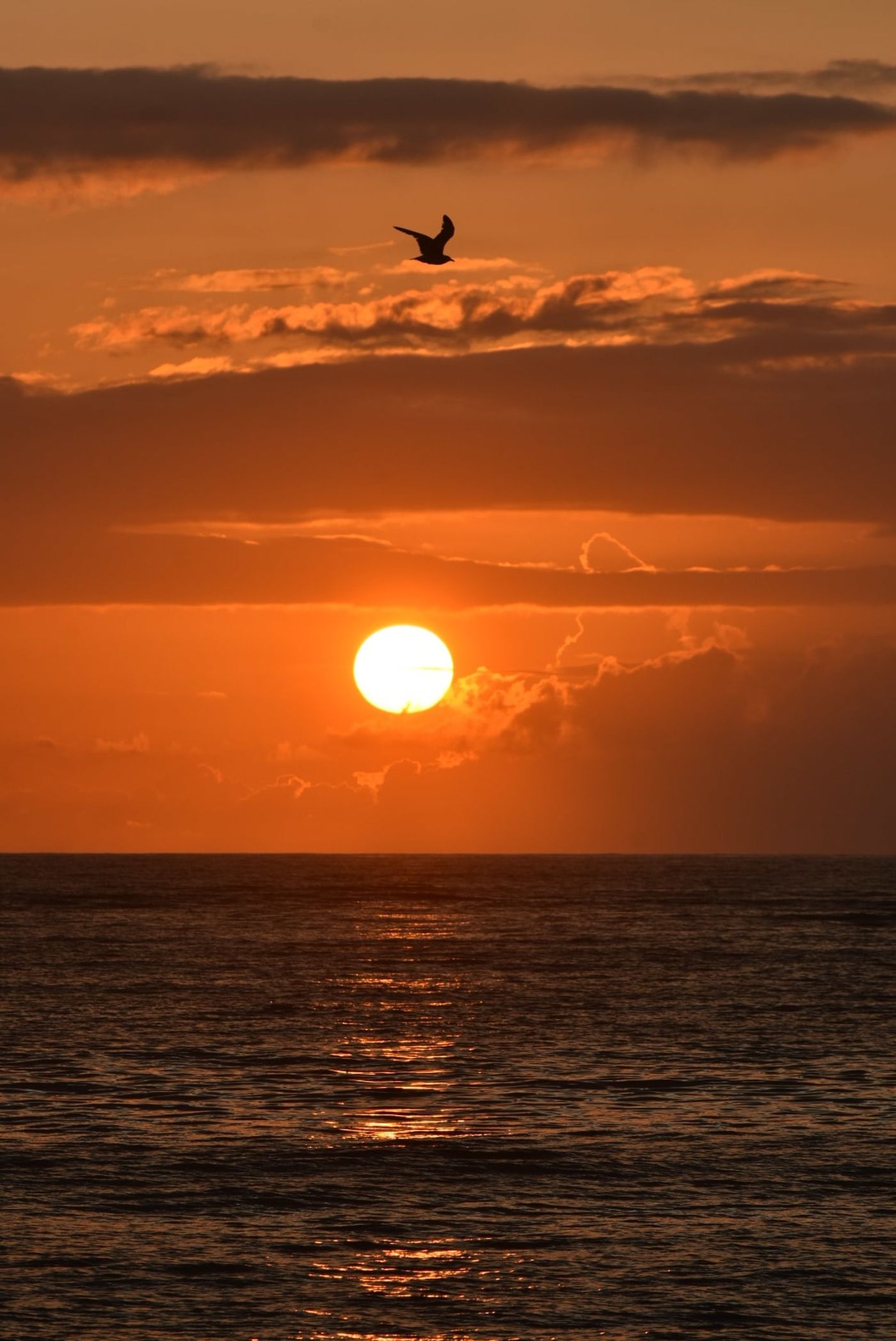 Sunset over Diani Beach