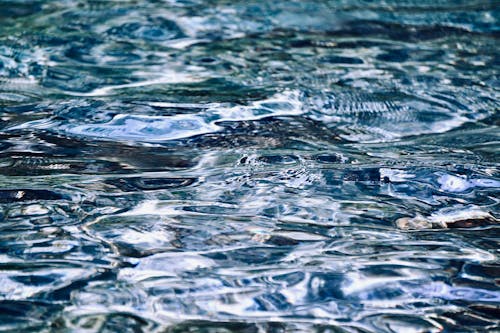 Close-up of Calm Blue Water Surface