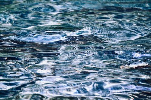 Free A detailed close-up photo capturing the ripples and reflections on a calm water surface. Stock Photo