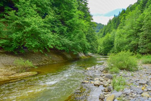 Free A tranquil river meanders through vibrant green forest in Orbaiceta, Spain, during summer. Stock Photo