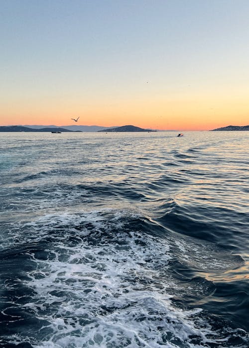 Body of Water during Sunset