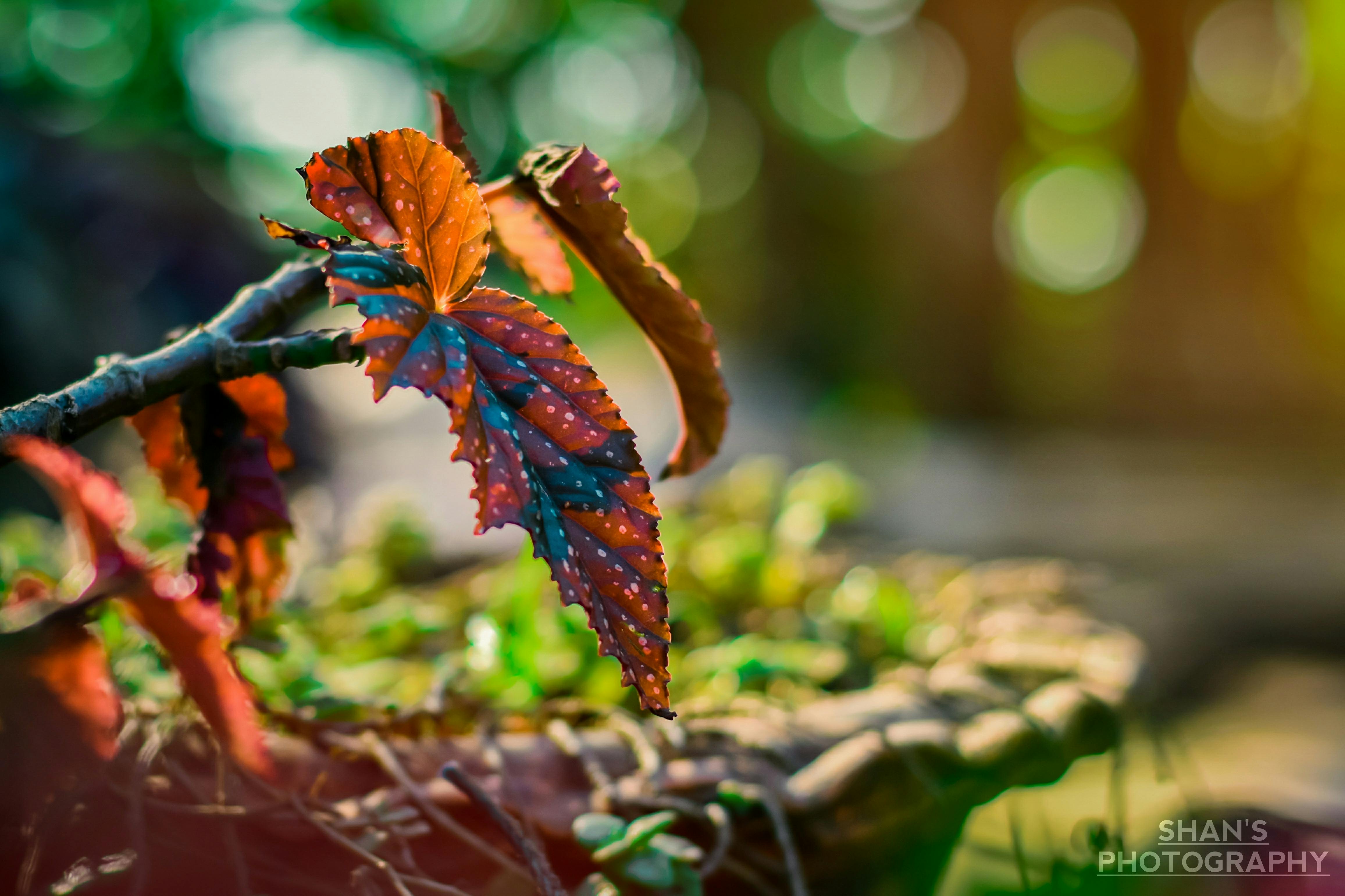 明確なルールの提示