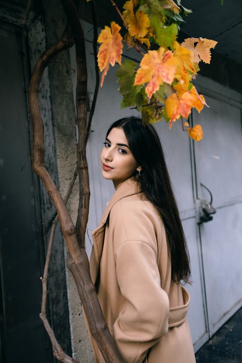 Brunette Woman under Tree in Autumn