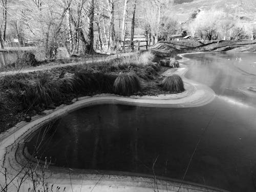 Grayscale Photo of Lake