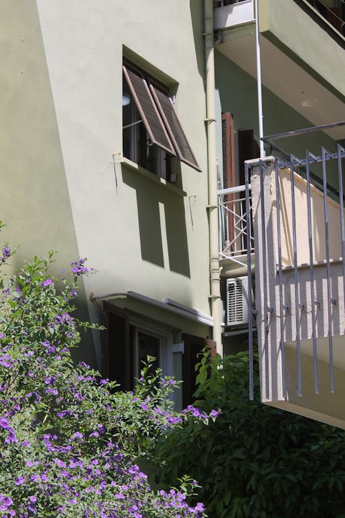 Flowers near Building Wall and Balcony