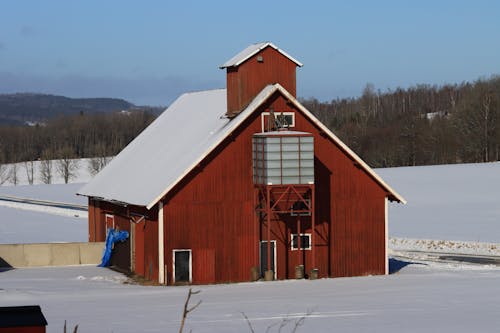 Red Barn in Winter