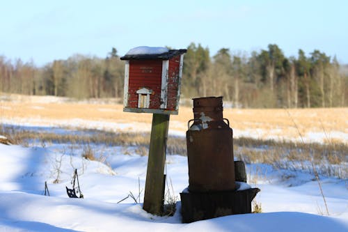 冬季, 景觀, 木 的 免費圖庫相片