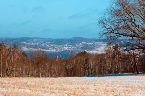 冬季, 山, 成長中 的 免費圖庫相片