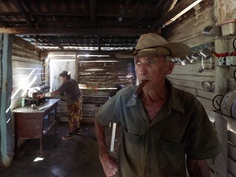 Man in Brown Cowboy Hat and Brown Button Up Shirt