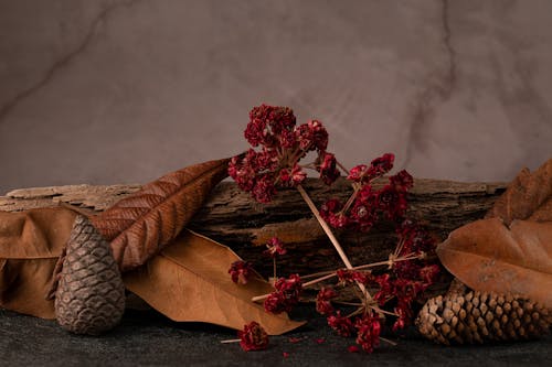 Autumn Decoration with Cones Dried Flowers and Leaves