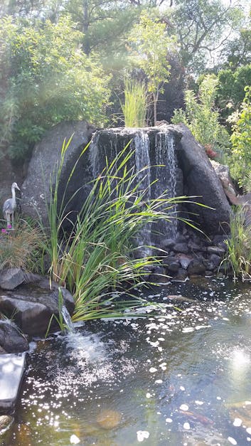 Free stock photo of fountain, pond, waterfall