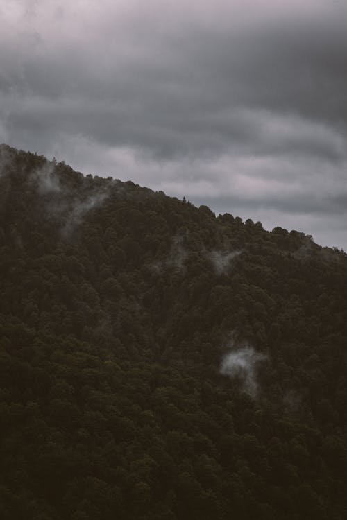Darmowe zdjęcie z galerii z chmury, drzewa, fotografia przyrodnicza