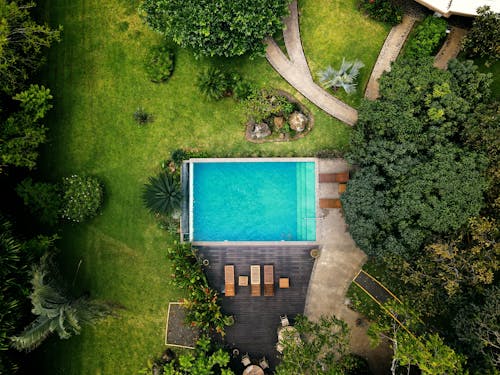Swimming Pool Beside Green Trees