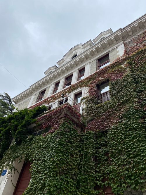 Free A stunning ivy-covered historic building facade in Beşiktaş, İstanbul, showcasing urban architecture. Stock Photo