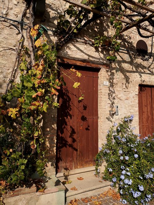 Free A rustic stone house with vine-covered walls and a wooden door, basking in sunlight. Perfect for traditional architecture lovers. Stock Photo
