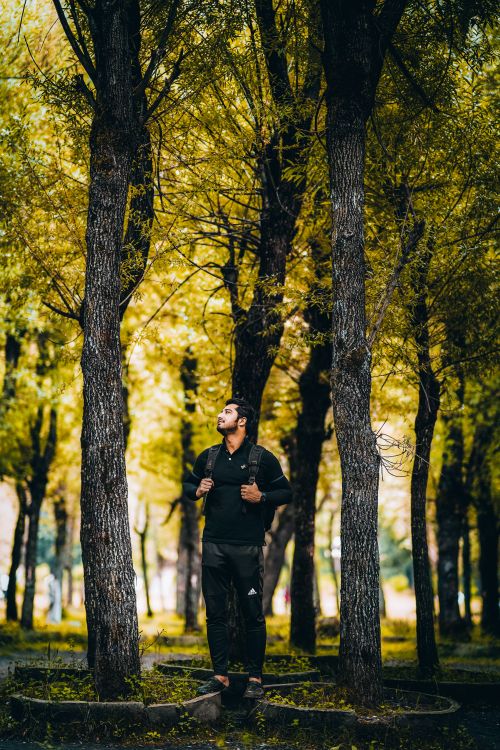 Free Man stands amidst vibrant autumn trees in a peaceful park, embracing nature. Stock Photo