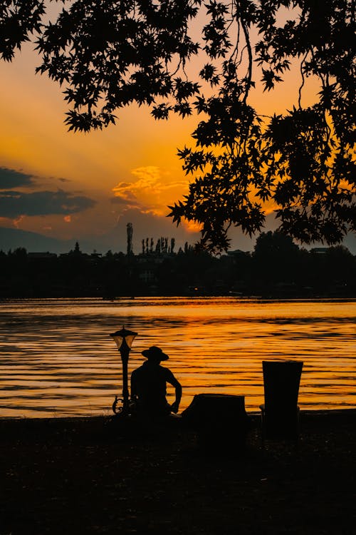 Silhouette of Person Sitting on the Bench During Sunset