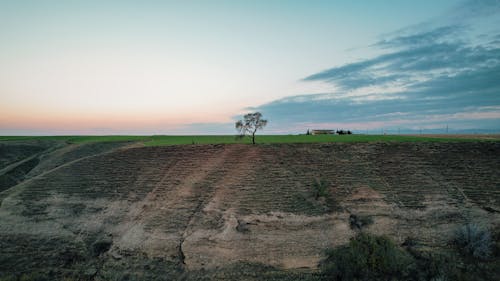 Δωρεάν στοκ φωτογραφιών με αγρόκτημα, δέντρο, δύση του ηλίου