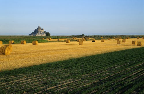 Straw Bales in the Fields and the Island of Mont-Saint-Michel in the Background