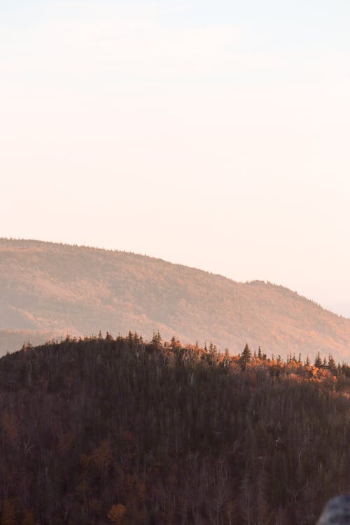 Ilmainen kuvapankkikuva tunnisteilla aamu, auringonlasku, auringonnousu