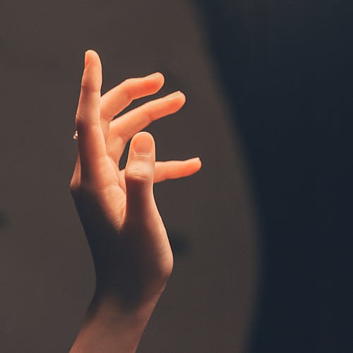 Person's Hand in Shallow Photo