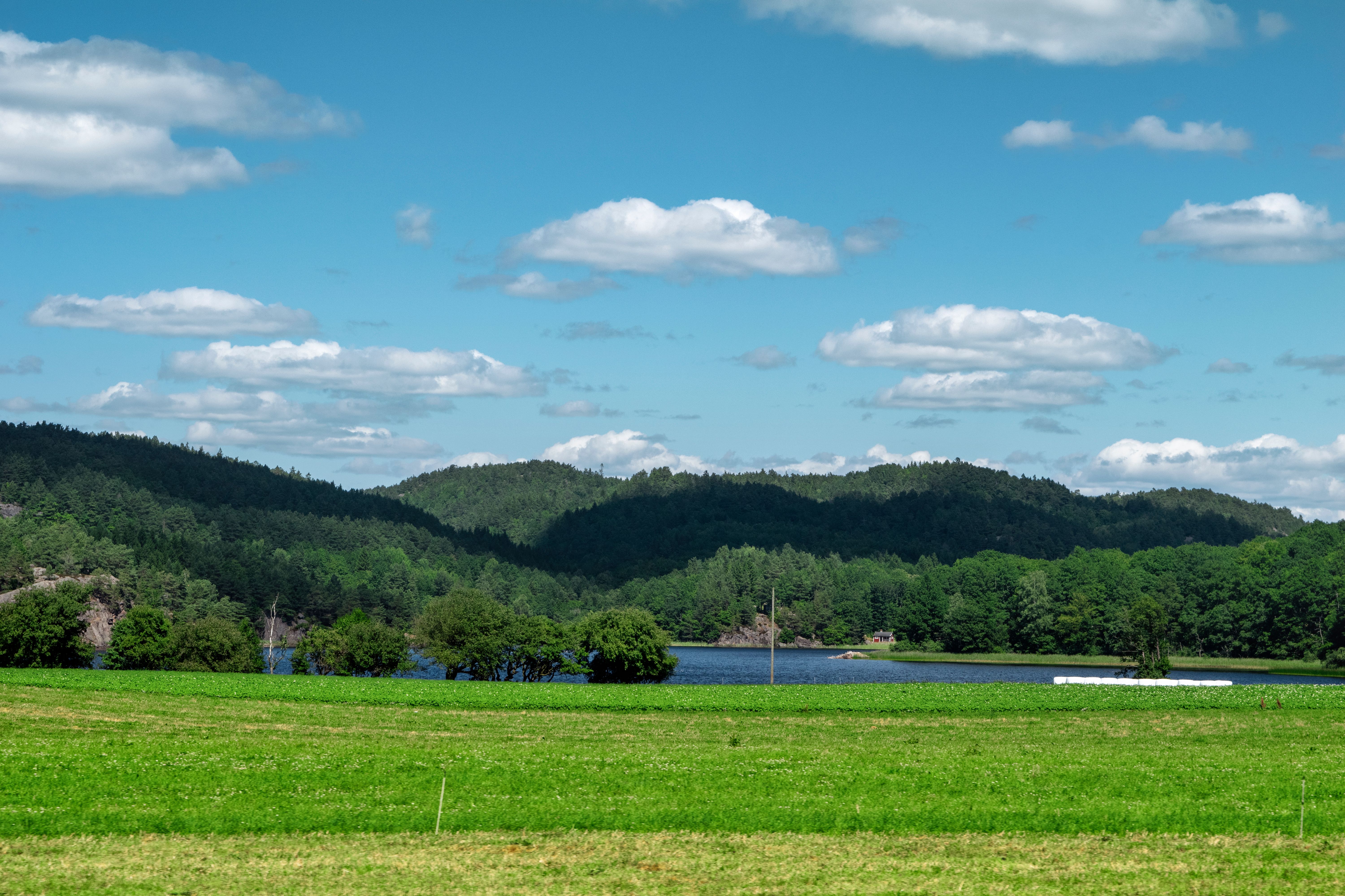Green Grass Field Near Body of Water Under Blue Sky · Free Stock Photo