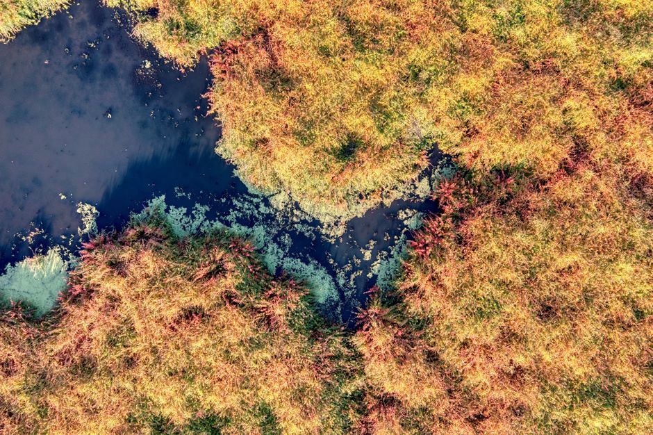Incredible Victoria Falls Helicopter Tour with Guide Review: Soaring Over One of the Seven Natural Wonders Review 2026 - Captivating aerial view of colorful marshland in fall, capturing nature's vibrant palette and tranquil water reflections.