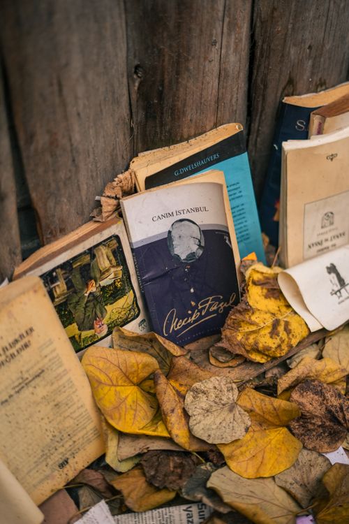 Free Old books lie on a wooden fence, surrounded by yellow autumn leaves, evoking a vintage charm. Stock Photo