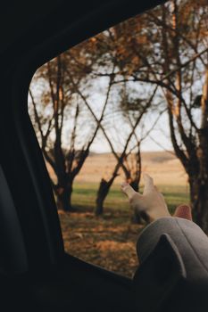A serene hand extending out of a car window, surrounded by nature and trees.