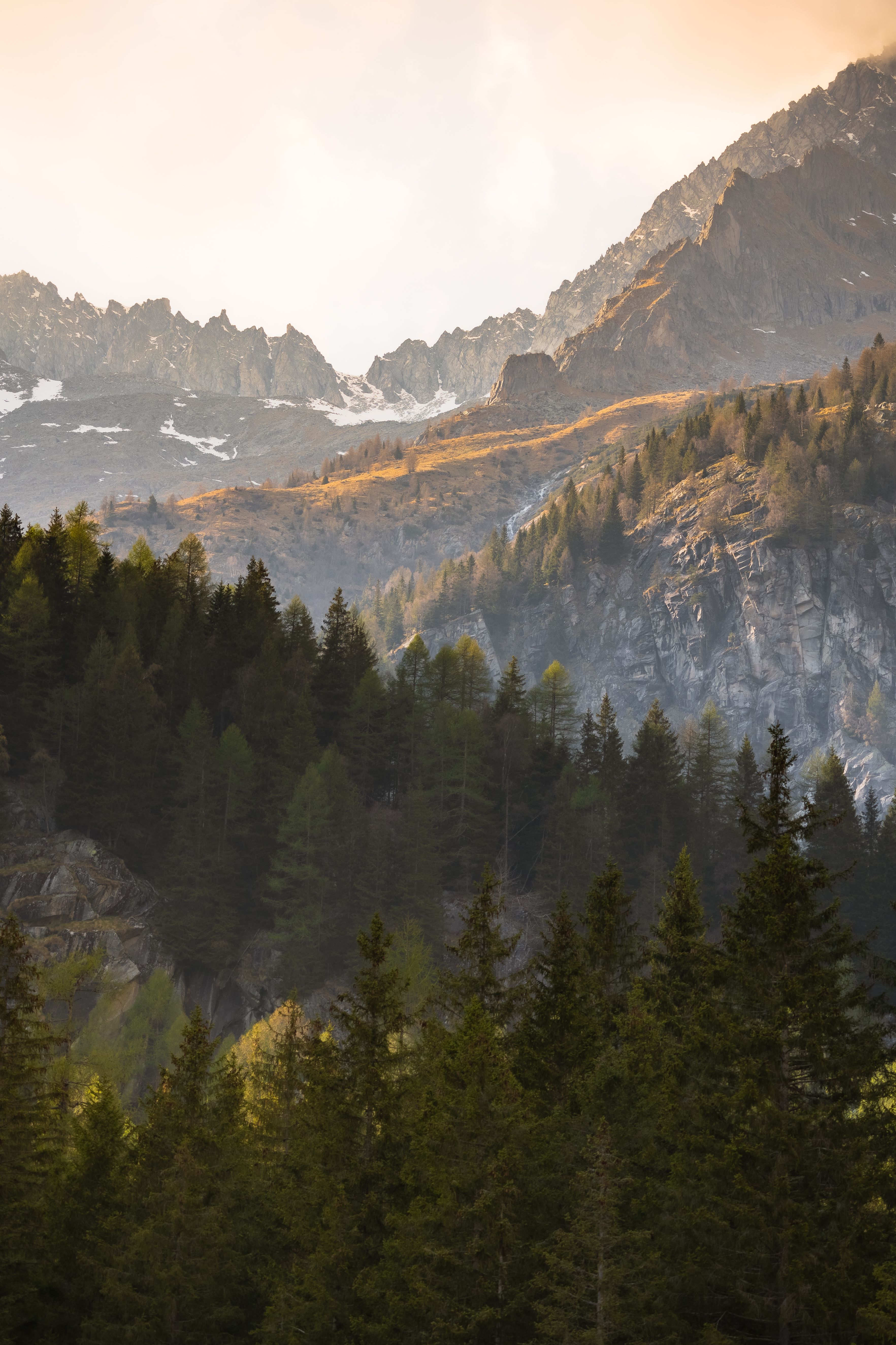 Breathtaking view of mountains and dense forest at sunset, capturing nature's beauty.