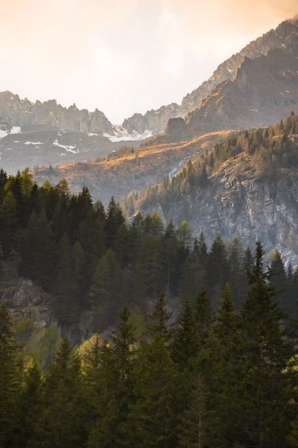 Breathtaking view of mountains and dense forest at sunset, capturing nature's beauty.