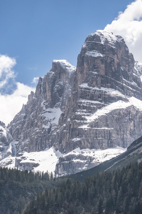 Free Stunning snow-covered mountain peak with a lush coniferous forest below, under a bright blue sky. Stock Photo