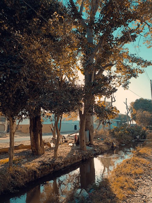 4 kビデオの性質, 4kの自然, キプロスの自然の無料の写真素材