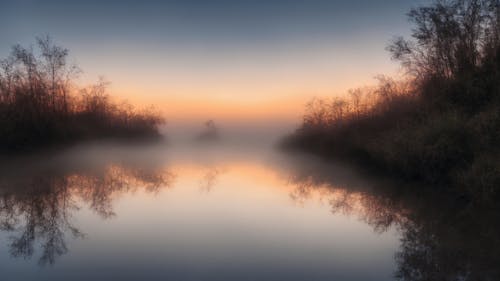 Kostenloses Stock Foto zu dämmerung, natur, nebel