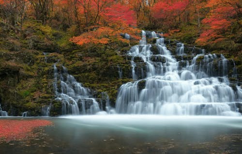 Gratis stockfoto met Bos, cascade, herfst