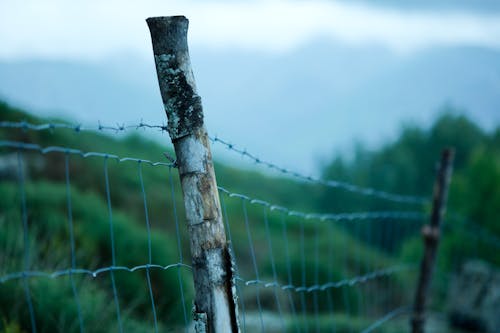 Close-Up Shot of Barbed Wires